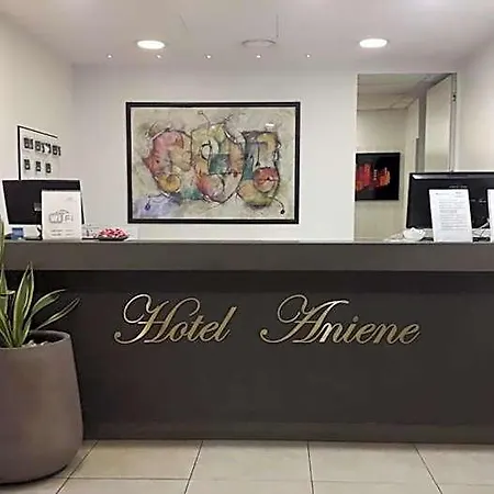Aniene Hotel Roma